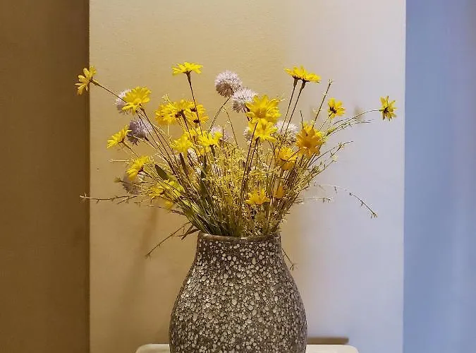 汽车旅馆 Argentum Gnojnice